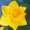 New Spring Life For Devto